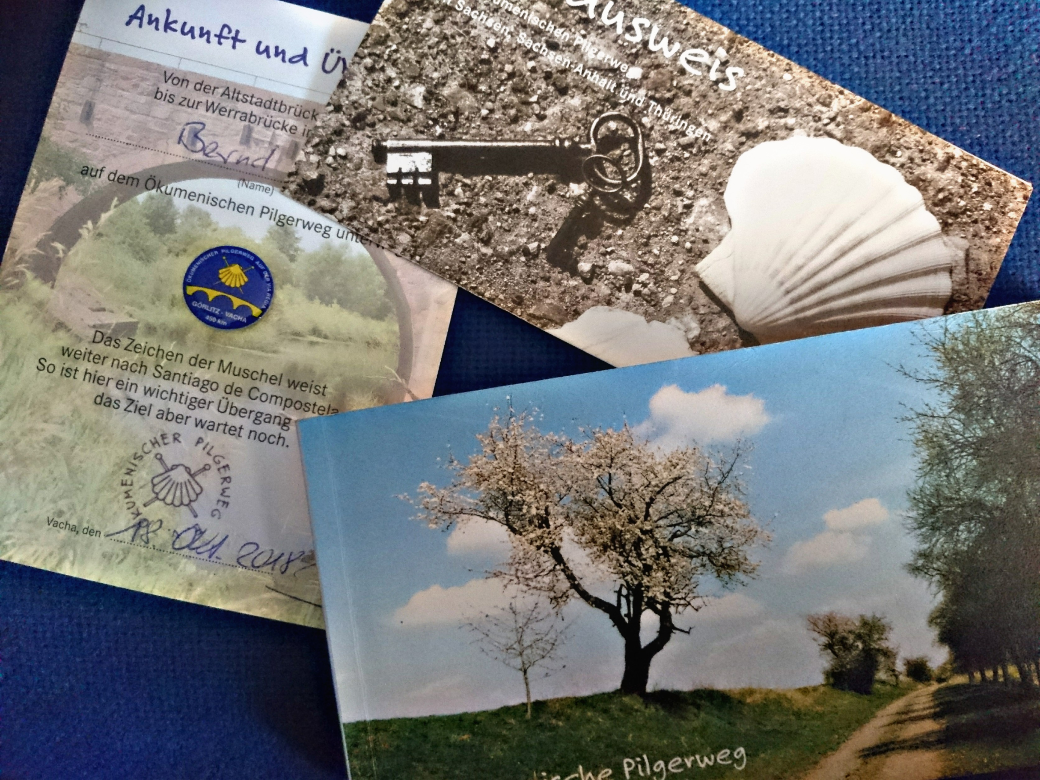 PicsArt_04-03-03.05.53